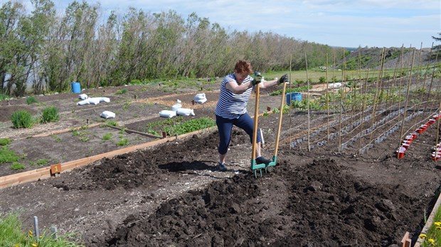 Les jardins communautaires s’animent