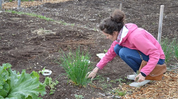 Des jardiniers passionnés!