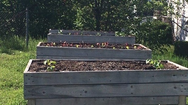 Remise sur pied des Jardins communautaires de Biencourt