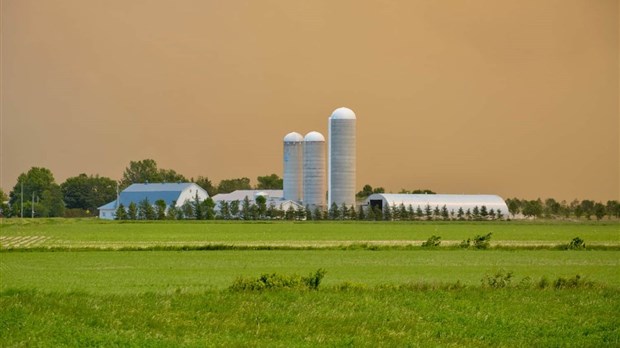 L’incendie reprend de l’ampleur