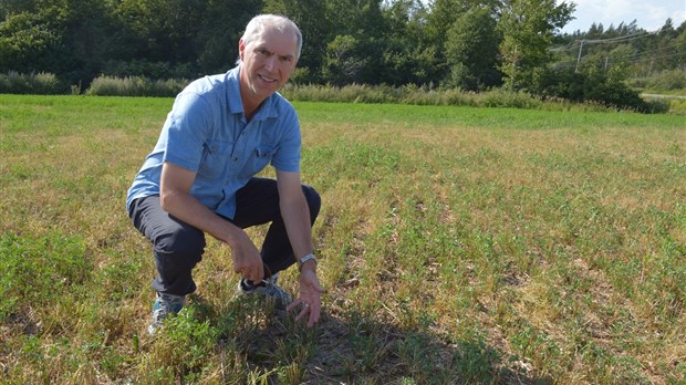 Les agriculteurs ressentent la sécheresse dans la première coupe de foin