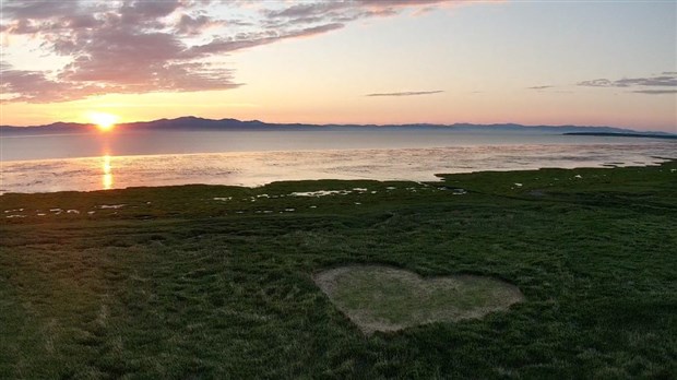 Pas de labyrinthe, mais le cœur de Kamouraska dans le phragmite