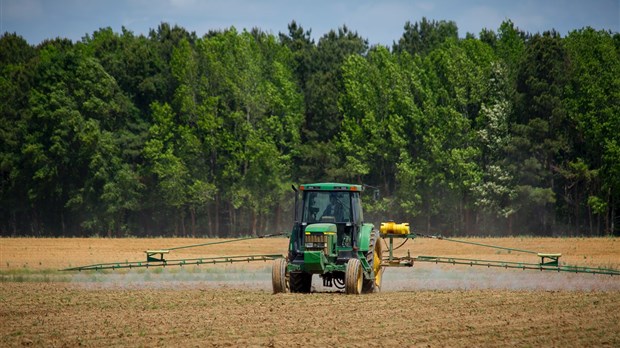  Une travailleuse de rang pour soutenir les agriculteurs du KRTB