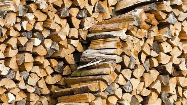 Récolte de bois de chauffage dans les forêts publiques