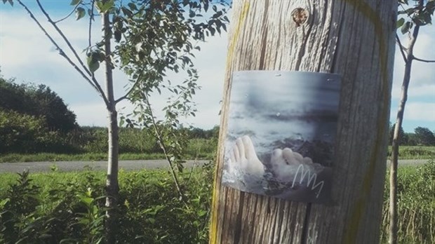 Exposition de la  série photographique «Parsemer dans l’vent»