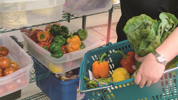 Le Carrefour d’Initiatives Populaires a adapté ses services