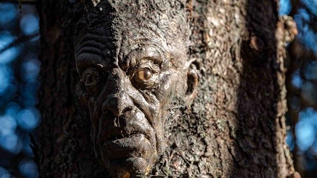 Raymond Beaudry présente son exposition «La forêt ré-enchantée»