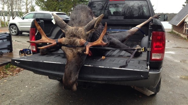 Chasse: un nouveau service gouvernemental en ligne pour les chasseurs et les piégeurs