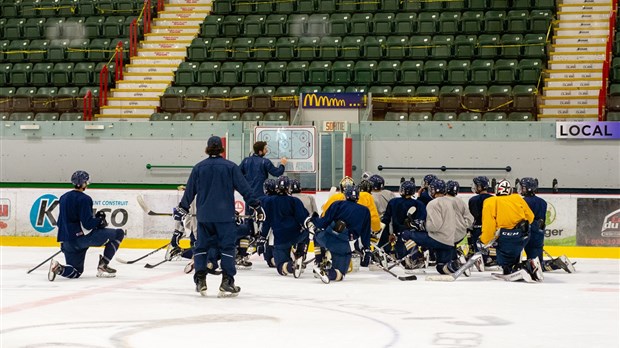 Matchs annulés pour les Albatros au Centre Premier Tech 