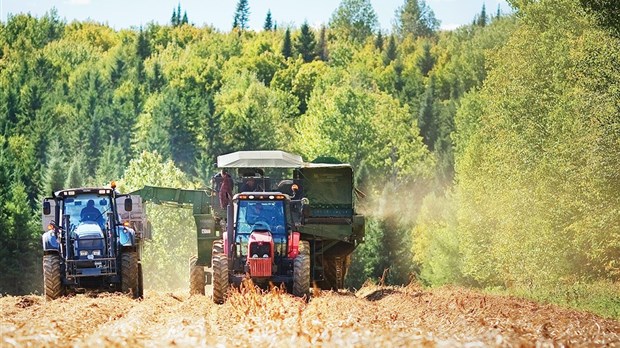 Plan de développement de la zone agricole révisé au Témiscouata