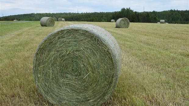 La Financière agricole soutient les entreprises agricoles et agroalimentaires du Bas-Saint-Laurent 