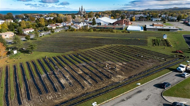 Le Parc Foresti Fruits, l’apprentissage à travers l’agriculture 