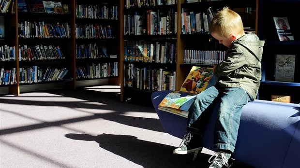 Animations en novembre à la bibliothèque Anne-Marie-D’Amours de Trois-Pistoles
