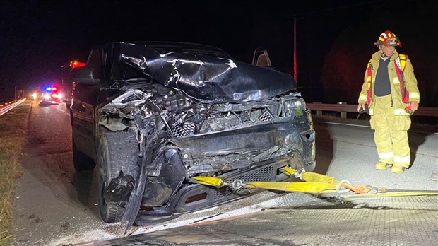 Collision avec un orignal à Saint-Alexandre-de-Kamouraska 
