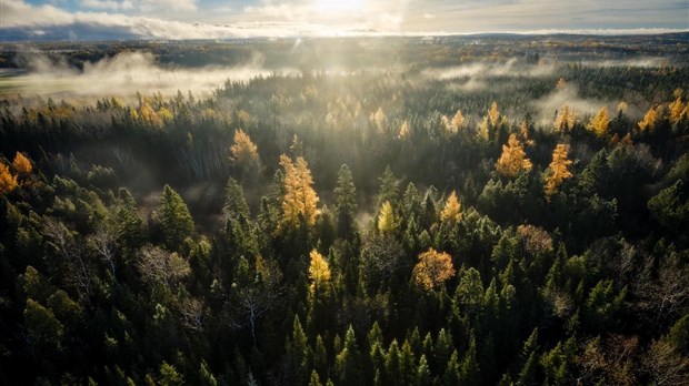 42 % d’autonomie théorique en bioalimentaire au Bas-Saint-Laurent