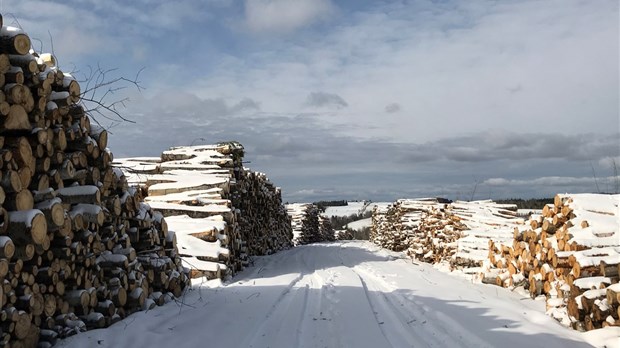 Information et recrutement de la part de l’Agence régionale de mise en valeur des forêts privées 