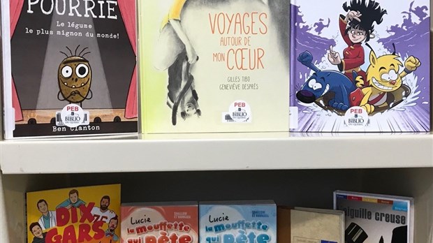 Accès à la culture et valorisation de la lecture et de l’écriture au Témiscouata