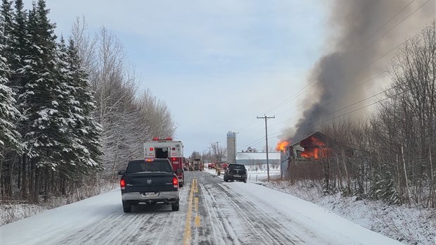 Des chevaux périssent dans un incendie à Saint-Hélène-de-Kamouraska