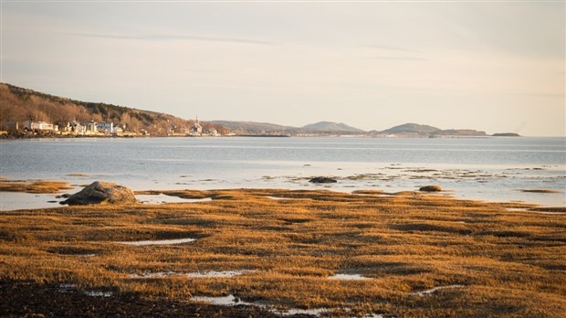 Littoral : un concours de textes et de photographies pour la réalisation d’un livre d’artiste