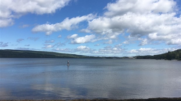 L’Association pour la protection du lac Saint-Mathieu incite les riverains à planter des arbustes