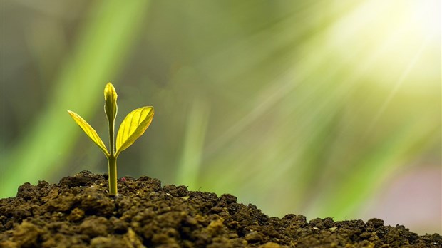 Investir en conjuguant le rendement, les gens et l’environnement