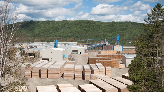 Groupe Lebel acquiert la scierie Temrex de Nouvelle en Gaspésie