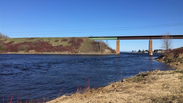 L’éperlan arc-en-ciel de retour dans la rivière Trois-Pistoles?