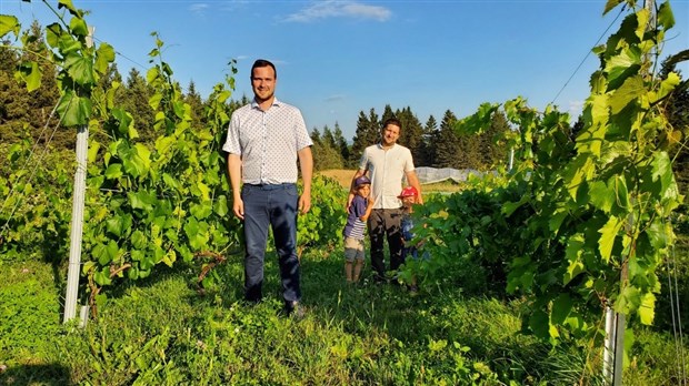 Emplois d’été Canada : la période d’inscriptions est commencée