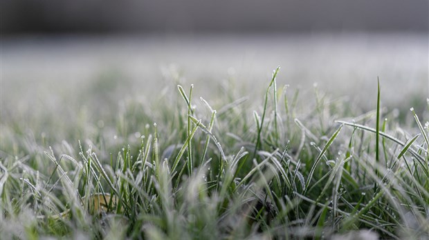 Autre avertissement de gel au KRTB 