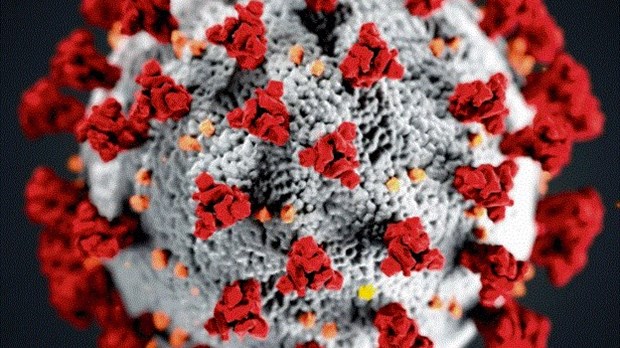 COVID-19 : trois nouveaux cas et deux décès supplémentaires au Bas-Saint-Laurent