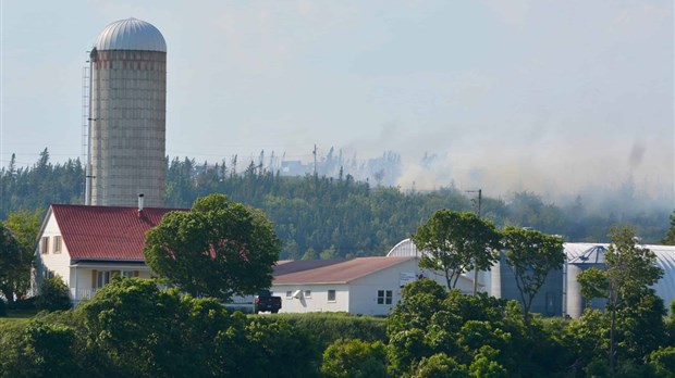  Incendie de résidences et de forêt à Saint-Denis-de-la-Bouteillerie