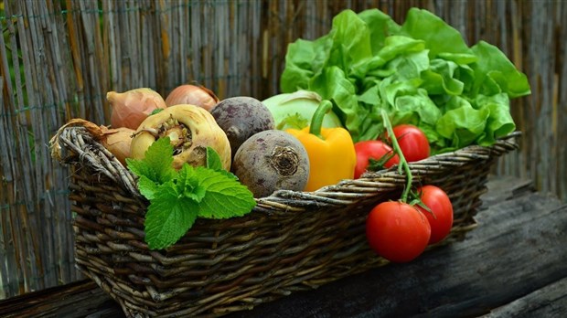 Les incroyables comestibles débarquent à Rivière-du-Loup