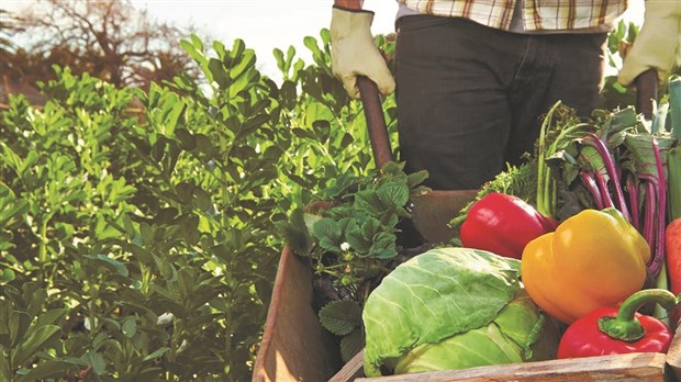 Agriscar Coopérative remet 4 000 $ en denrées alimentaires 