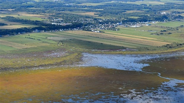 Coup d’envoi à la cartographie détaillée des milieux humides du Bas-Saint-Laurent