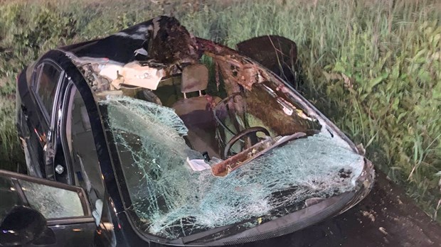 Violente collision avec un orignal sur l’autoroute 20