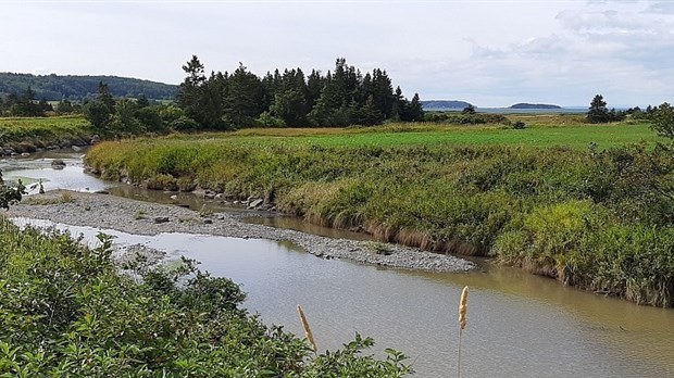 Projet de réfection des traverses à gué sur la rivière Centrale