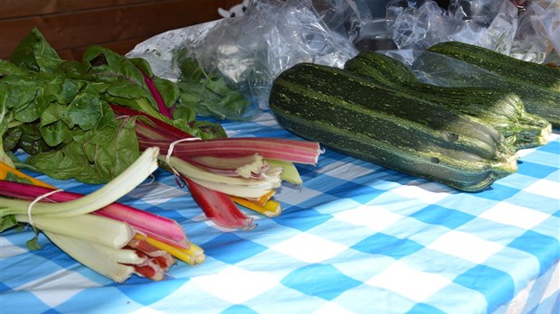 Un projet de marché mobile au Témiscouata