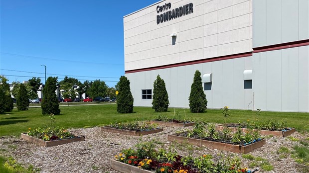 Grand concours Du jardin dans ma ville : votez pour votre projet de verdissement municipal préféré