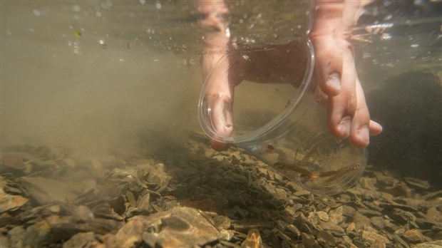 L'OBVNEBSL complète sa 11e année du programme éducatif Écol'Eau  