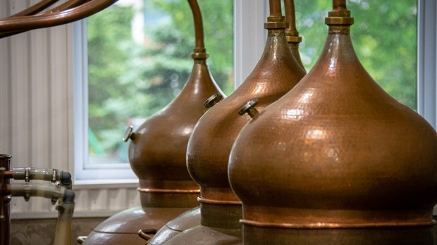Les microdistilleries québécoises se sentent étouffées par une majoration de 52 % de la SAQ