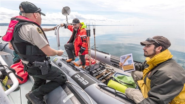 Sensibilisation au béluga du Saint-Laurent : présence d’agents des pêches