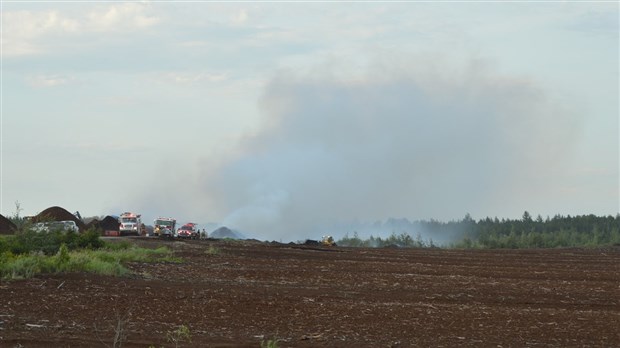 Incendie dans une tourbière à Saint-Modeste