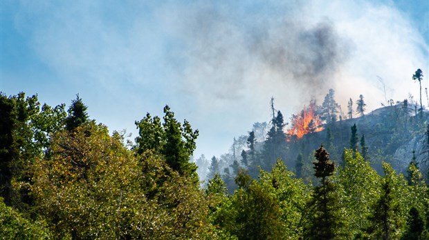 Incendie de forêt à Saint-André-de-Kamouraska