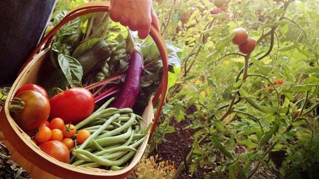En septembre, le Bas-Saint-Laurent se lance un défi : manger local!