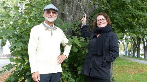 «Arbre, qui es-tu?» : un circuit littéraire à la découverte des plus beaux spécimens du Vieux Rivière-du-Loup