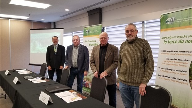 Tordeuse des bourgeons de l’épinette : le Bas-Saint-Laurent interpelle Québec