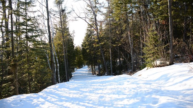 Une nouvelle passerelle pour atteindre le parc des Chutes d’ici 2023 
