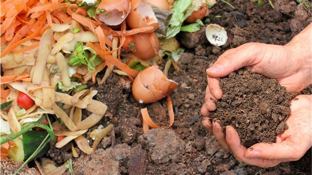 Matières organiques : une formule hybride au Témiscouata
