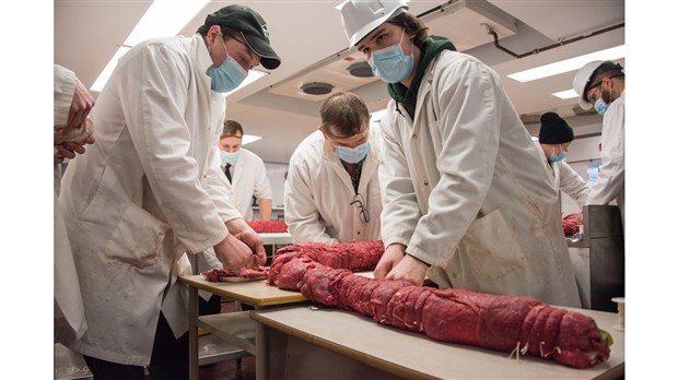 Des apprentis-bouchers de Rivière-du-Loup s’attaquent à un record mondial de rosette de boeuf