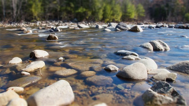  Une première école participante dans le bassin versant du fleuve Saint-Jean